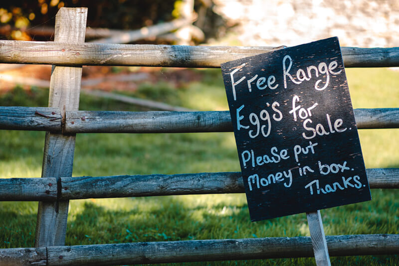 farm eggs for sale sign